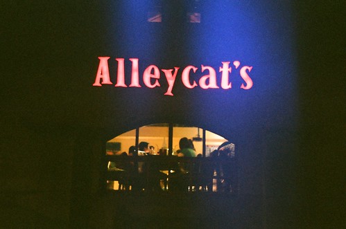 Alleycat's