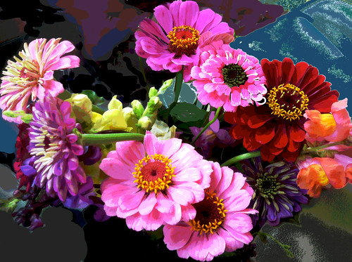 Sleight-of-Hand Bouquet by randubnick