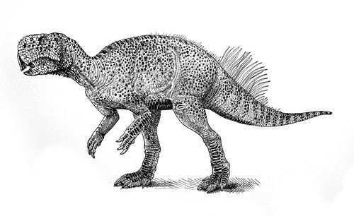 psittacosaurus