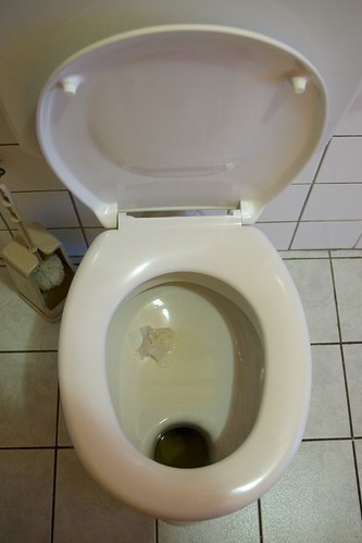 Austrian Toilet