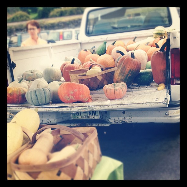 Trucks of pumpkins = my new favorite thing.