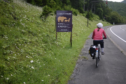 Bear warning signs on the Shiretoko Highway (Hokkaido, Japan)