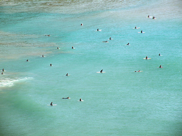 Surfers at Oswald West