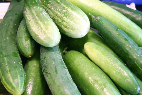 cucumbers 053
