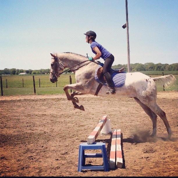 My Daughter Likes This One Better #horse #jump