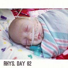 Snooze fest. Rhys, day 62. #preemie #nicu #twins