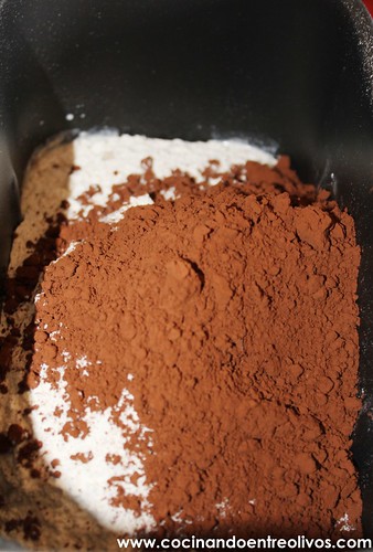 Pan de chocolate (9)