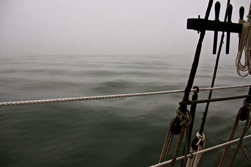 Sailing Through Thick Fog 12