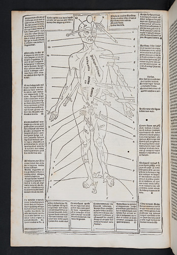 Woodcut medical illustration from Ketham, Johannes de: Fasciculus medicinae