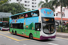 SBS Transit Buses