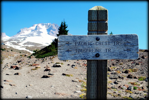 Trailhead to Paradise Park outside the Timberline Lodge
