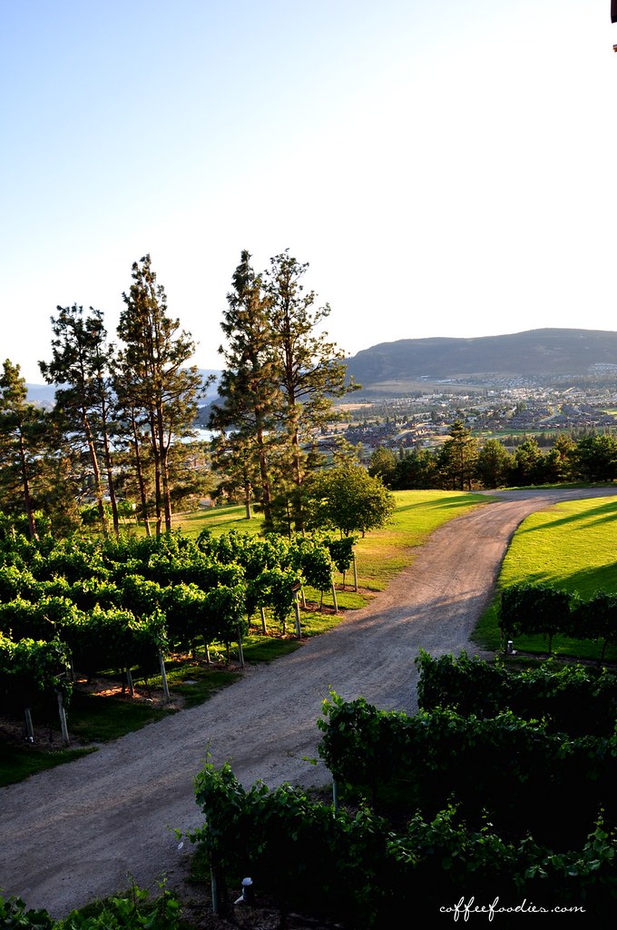 Mission Hill Winery SUMMERLAND BC