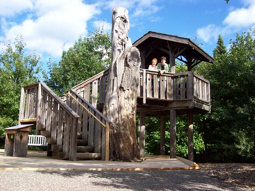 Arboretum tree house
