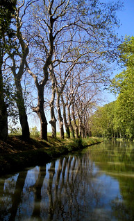 Canal Du Midi - trees next to canal.