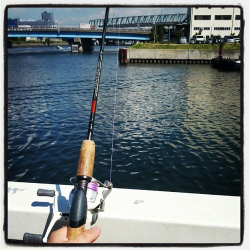 釣りはじめました。