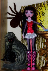 The Toy Shelves ~ Monster High & Friends 12-08-26