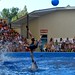 Acrobatics during the Dolphins Show in Anapa, Russia