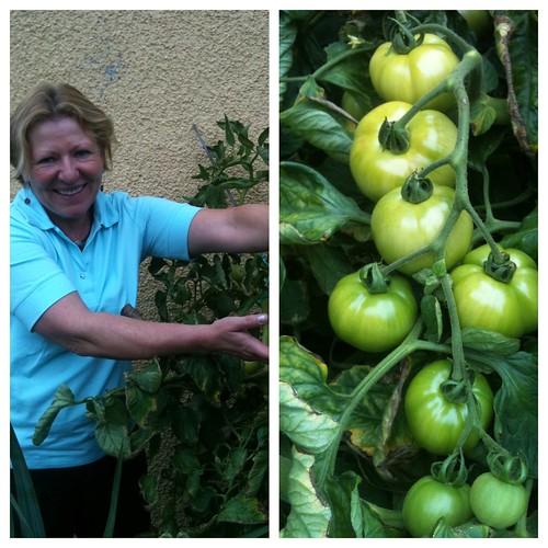 Karin's Tomatoes