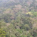 Cameroon impressions - IMG_2419_CR2