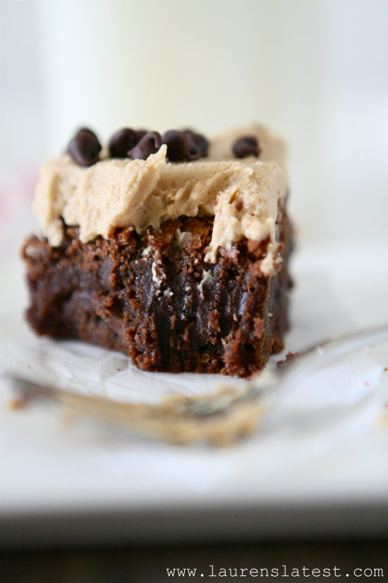 Fudgy Brownies with Cookie Butter Frosting 2