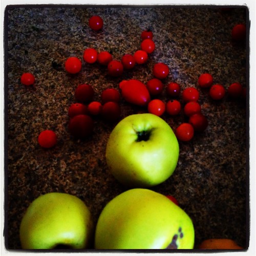 fall by Nature Morte