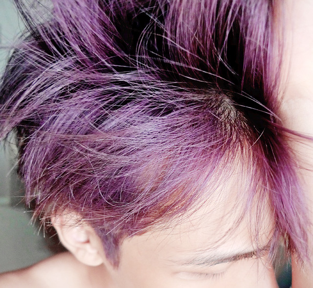 typicalben in mauve purple colour hair