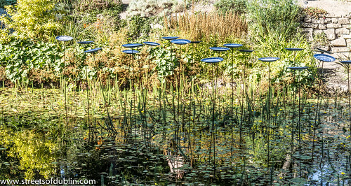 Spinning Plates by Vivian Hansbury: Sculpture In Context 2012 at the National Botanic Gardens by infomatique