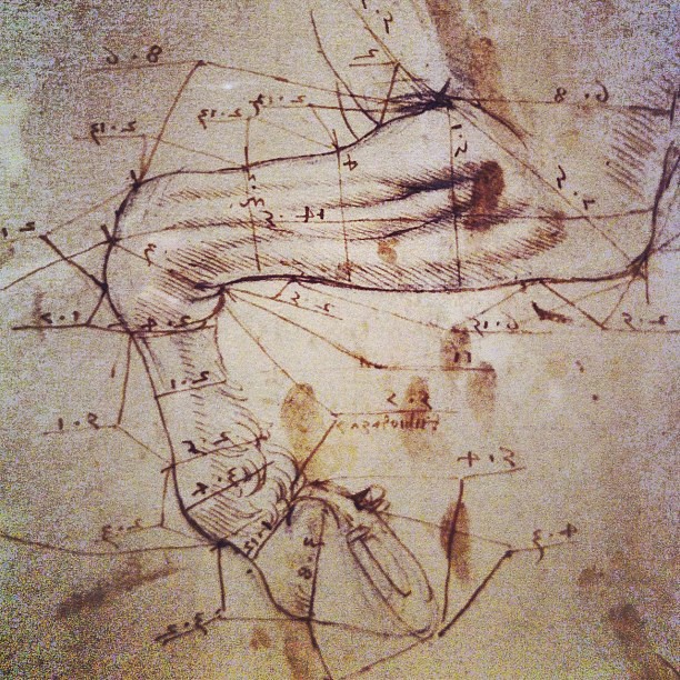 Leonardo Da Vinci anatomy drawing museum tour - horse leg,… | Flickr