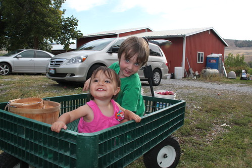 Olsen and Jovie in the wagon 3