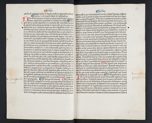 Manuscript annotations in Magninus Mediolanensis: Regimen sanitatis