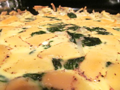 Spinach and gruyere quiche with a hashbrown crust