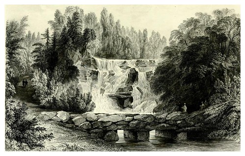 003- Cascada en Virginia Water- A topographical history of Surrey 1878-Vol 2- Edward Wedlake Brayley