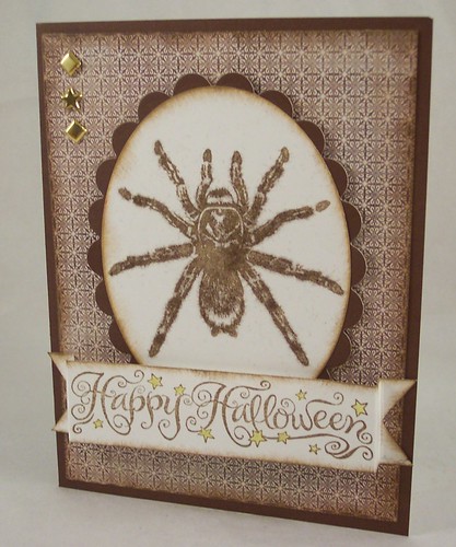 Tarantula Card