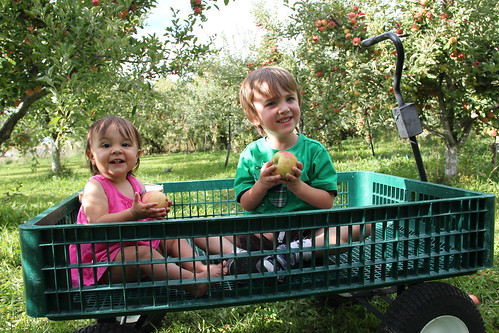 Olsen and Jovie in the wagon 6