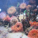 120917 New England Aquarium, Boston posted by rebeccachen1970 to Flickr
