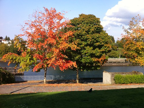 Fall Colors at Chittenden Locks
