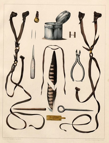 005-complemtnetos de cetreria2- Traité de fauconnerie..1853- Hermann Schlegel- Universität Düsseldorf