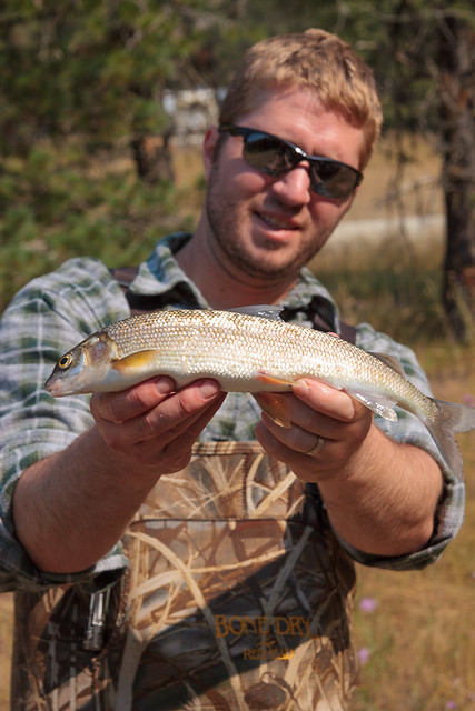Tyler and the Whitefish
