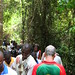 Kakum canopy walk, Ghana - IMG_1531_CR2