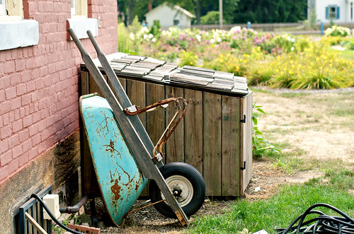 Rusty wheelbarrow.