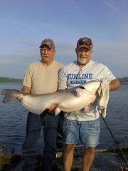 Wow Huge Catfish