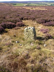 Brow Moor Monument