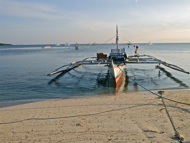 Una isla que te robará el corazón: MALAPASCUA - ¡FILIPINAS, TIERRA DE GALLOS! (61)
