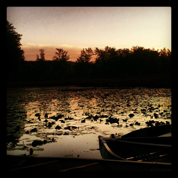 Evenings at Pine Lake