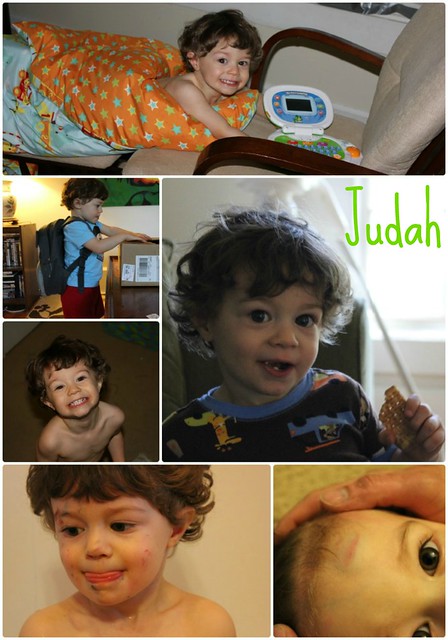 Judah1.jpg