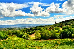 Tuscany 2012