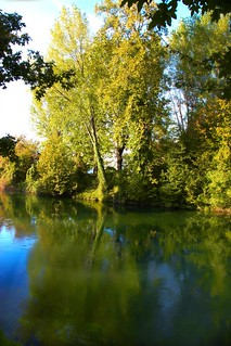 Autumn Trees beside the Sile River in Treviso Sept. 20/12