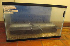 Restoring An Aquarium Tank.