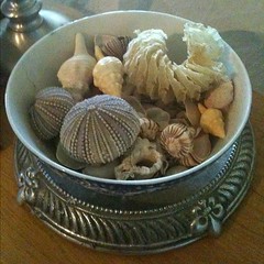A bowl of shells or other #organic touches bring in inspiration from #nature