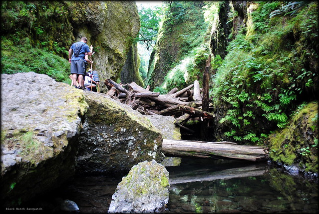 a hiker contemplating the best way over the log jam - Oneonta Gorge